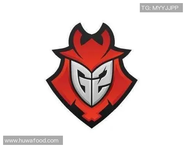 EDG战队在CSGO中的盯防体系解析与战术应用探讨