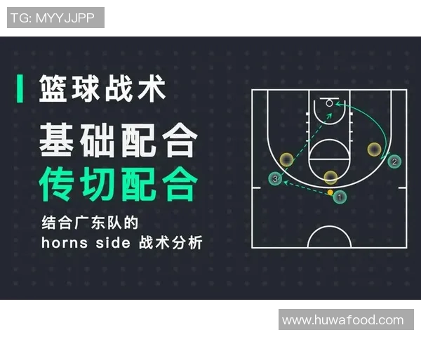 南京篮球队在城市联赛中的灵活性表现及其战术分析