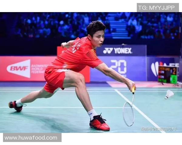 南京羽毛球队在世锦赛中的蜕变与新战略探索之旅