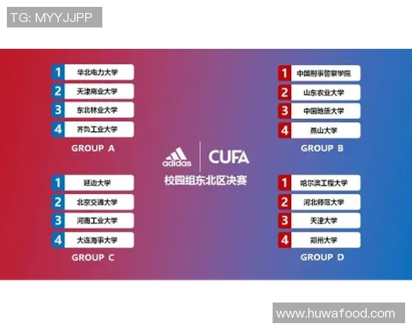 上海足球队实力强劲荣登足球状态排行榜第五名