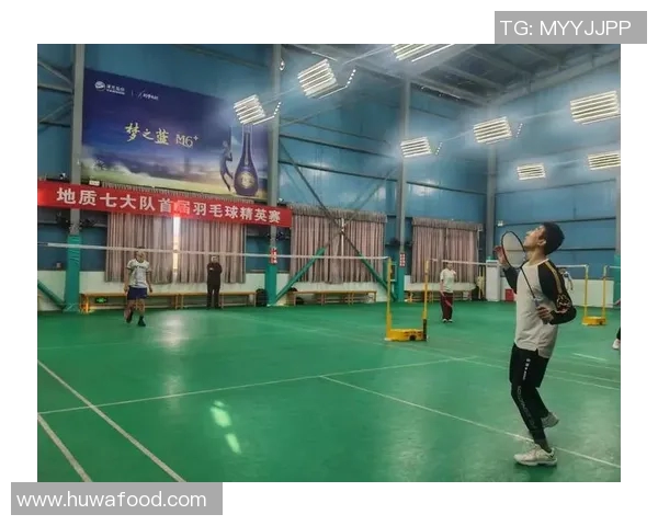 成都羽毛球队在精英赛中的实力展现与未来发展潜力分析