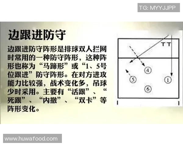 北京排球队区域防守革新探索与实践的深度分析与展望 北京排球队区域防守革新探索与实践的深度分析与展望