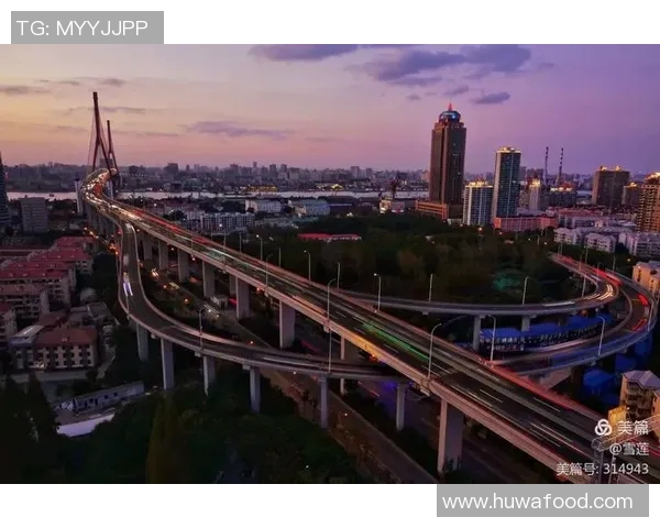 杭州篮球队的奋斗历程与大师赛的辉煌成就全景回顾 杭州篮球队的奋斗历程与大师赛的辉煌成就全景回顾