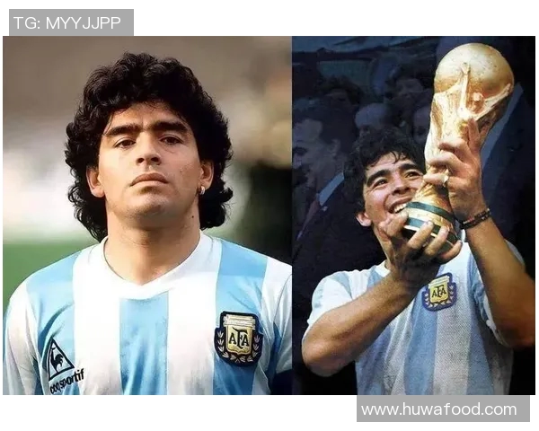 美式足球明星的传奇人生与赛场背后的故事揭秘 美式足球明星的传奇人生与赛场背后的故事揭秘