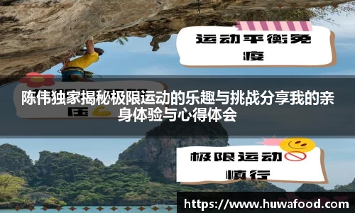 陈伟独家揭秘极限运动的乐趣与挑战分享我的亲身体验与心得体会