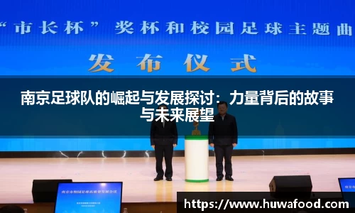 南京足球队的崛起与发展探讨：力量背后的故事与未来展望