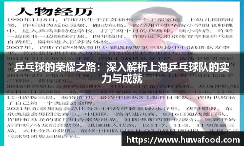 乒乓球的荣耀之路：深入解析上海乒乓球队的实力与成就