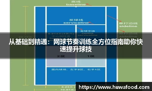 从基础到精通：网球节奏训练全方位指南助你快速提升球技
