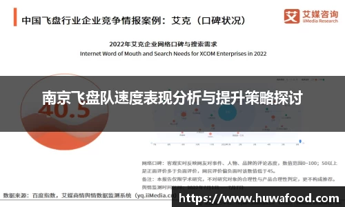 南京飞盘队速度表现分析与提升策略探讨