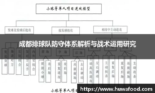 成都排球队防守体系解析与战术运用研究
