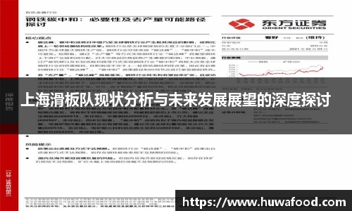 上海滑板队现状分析与未来发展展望的深度探讨